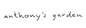 logo anthonysgarden.de
Anthony’s Garden
Wir sind das Folk! logo anthonysgarden.de
Anthony’s Garden
Wir sind das Folk!